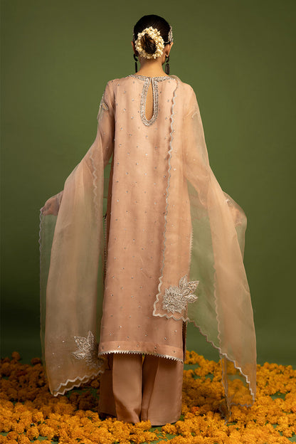 Wardha Saleem | Luxury Pret Traditional Wear | MISMAAR - HEAVY FORMAL (2 PC) - Ladies Clothes 