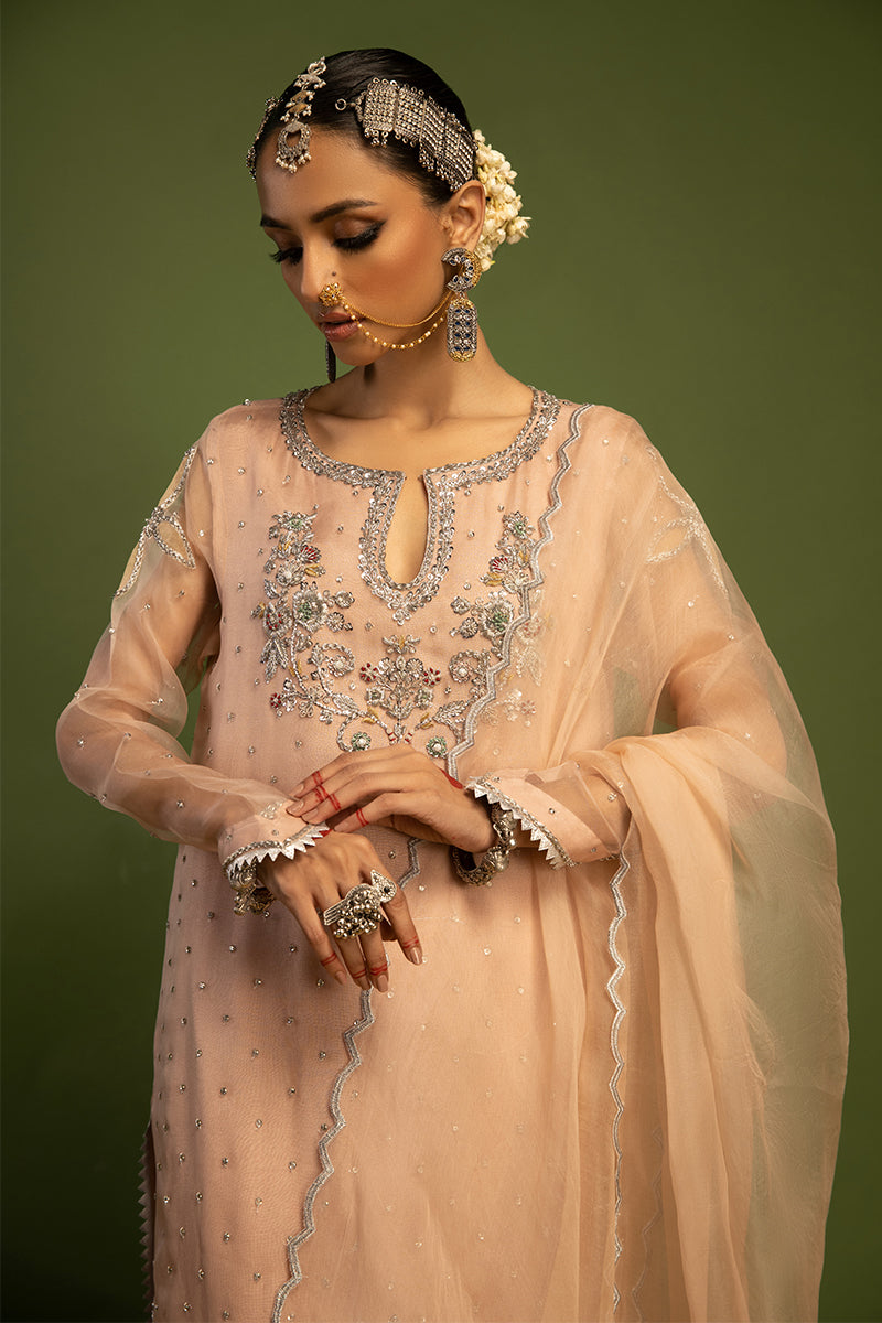 Wardha Saleem | Luxury Pret Traditional Wear | MISMAAR - HEAVY FORMAL (2 PC) - Ladies Clothes 