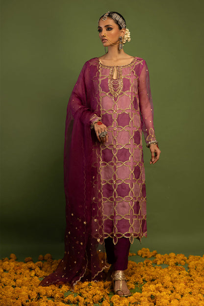 Wardha Saleem | Luxury Pret Traditional Wear | SARAAB - PLUM HEAVY (2 PC) - Ladies Clothes 