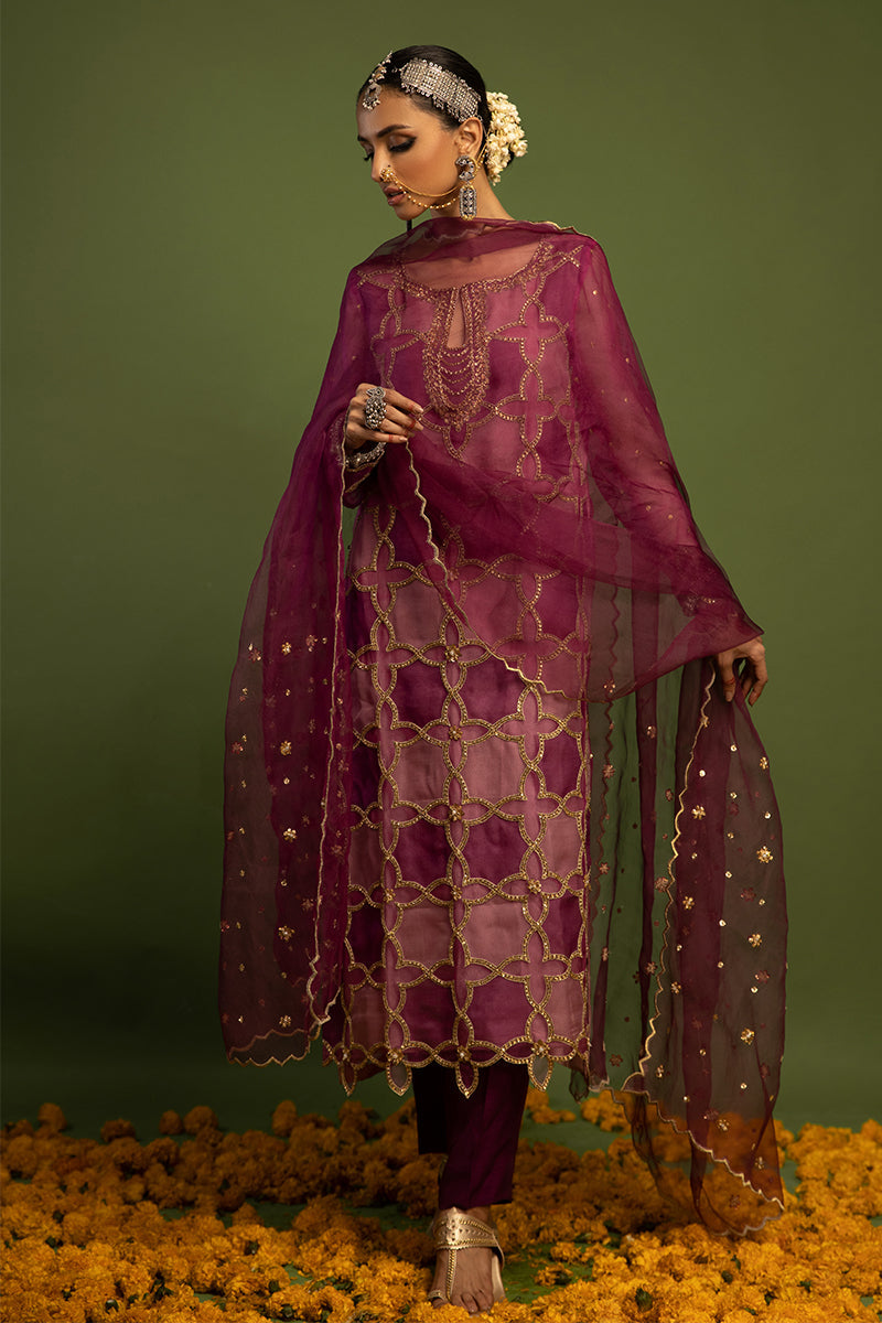 Wardha Saleem | Luxury Pret Traditional Wear | SARAAB - PLUM HEAVY (2 PC) - Ladies Clothes 