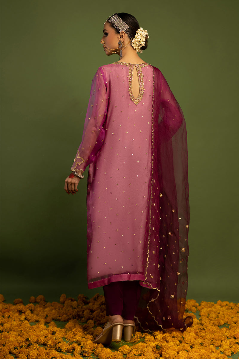 Wardha Saleem | Luxury Pret Traditional Wear | SARAAB - PLUM HEAVY (2 PC) - Ladies Clothes 