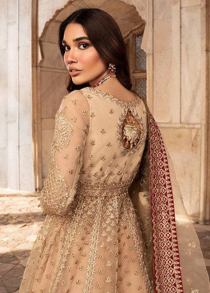 Meeral | Wedding Formals | Raqs by Maria Faisal - Registered Vendor of : Meeral - type : Ladies Clothes - 100% original wedding dresses