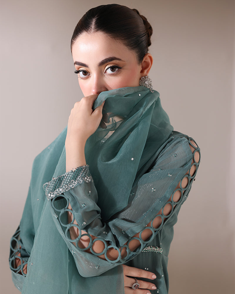 Ain | Noore Festive Formals 25 | AN-152 - Ladies Clothes - Maria Faisal