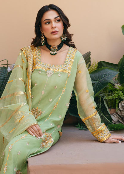 Daud Abbas | Formals Collection | Sunahri - Waniyas