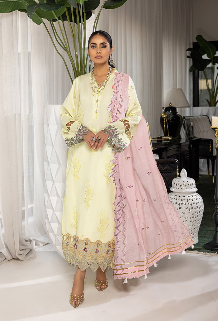 Humdum | Charlotte Chikankari Lawn | D06 - Ladies Clothes 