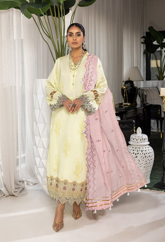 Humdum | Charlotte Chikankari Lawn | D06 - Ladies Clothes 