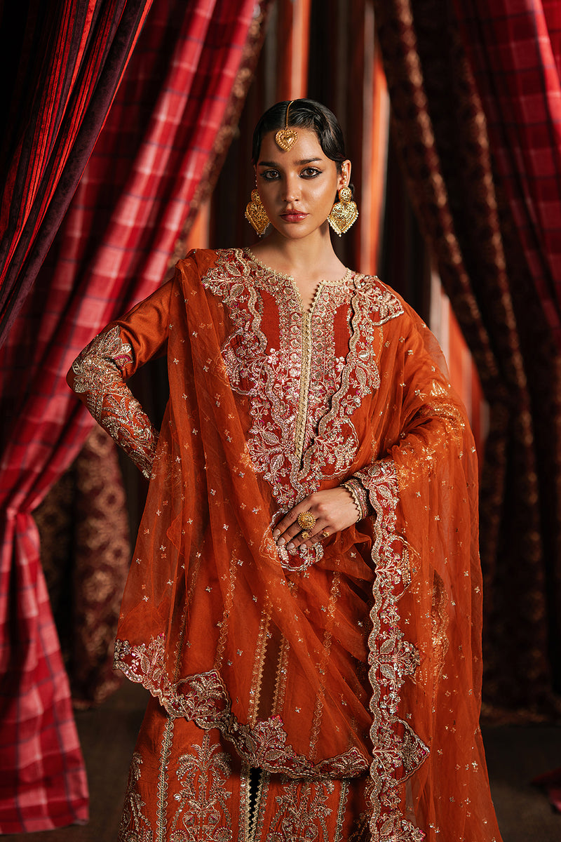 Aafreen – authentic Pakistani dress from the Divani Silk 25 collection for women in the UK