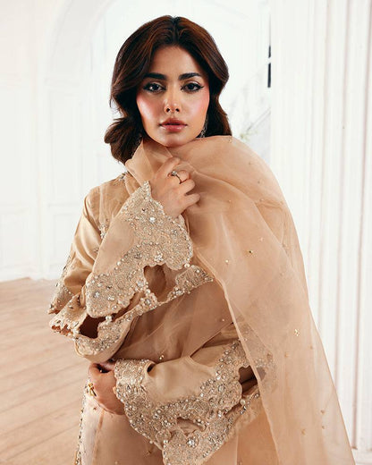 Ain | Zahra Formal Edit 25 | AN-106 by Maria Faisal - Registered Vendor of : Ain - type : Ladies Clothes - 100% original wedding dresses