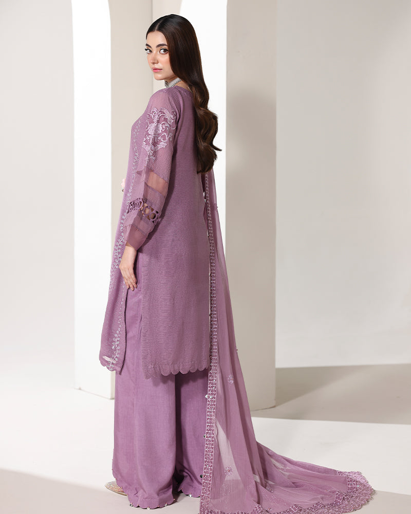 Ain | Noore Festive Formals 25 | AN-153 - Ladies Clothes - Maria Faisal