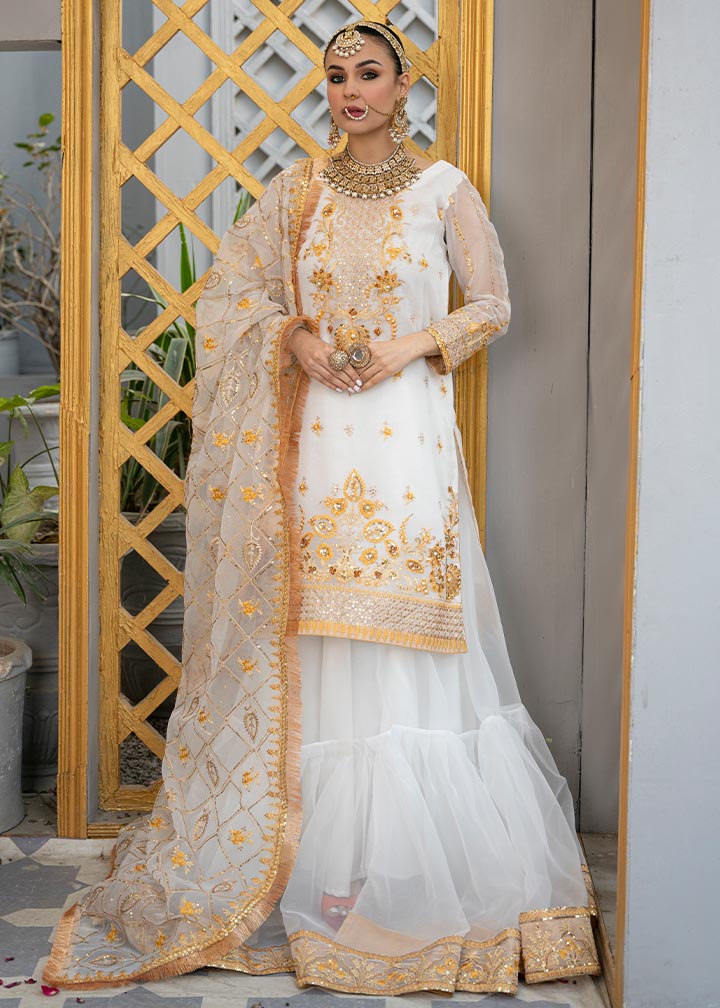 Daud Abbas | Formals Collection | Tamana - Waniyas