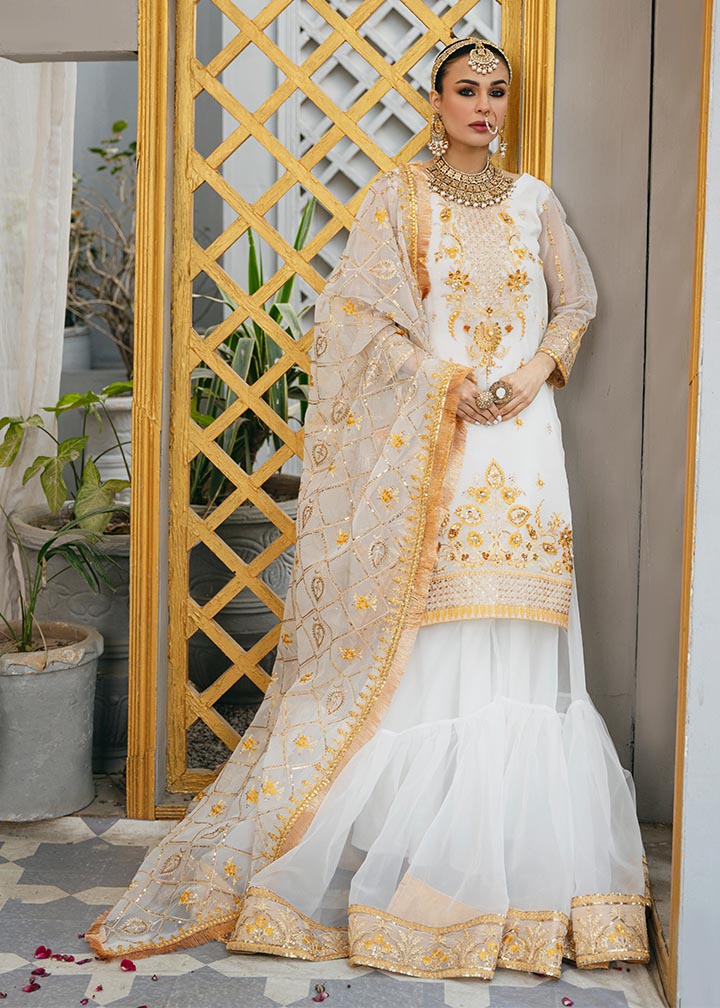 Daud Abbas | Formals Collection | Tamana - Waniyas