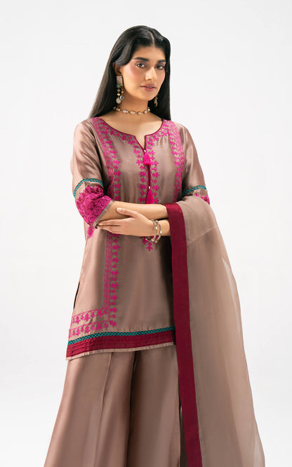 Asifa and Nabeel | Celevara Luxe | Velour Dawn - Luxury Dress - available at Maria Faisal in UK and USA.