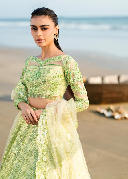 Waqas Shah | Amariage Luxury Formals | Mint Bloom - Ladies Clothes - Maria Faisal