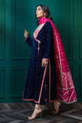 Wardha Saleem | Velvets Winter Fall 24 |  Shalimar - Ladies Clothes 