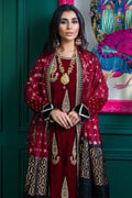 Wardha Saleem | Velvets Winter Fall 24 |  Lal Bagh 2 - Ladies Clothes 