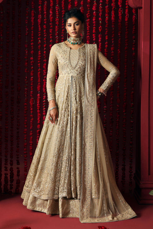 Naqshi | Roshaneh Collection | Saleha - Ladies Clothes - Maria Faisal