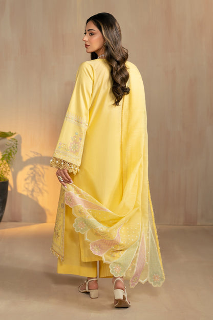 Naqshi | Festive Eid 26 | Sheiza - Luxury Dress - available at Maria Faisal in UK and USA.