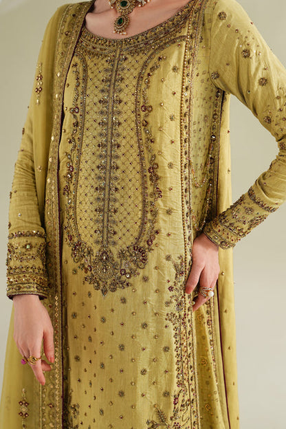 Naqshi | Mehrnaz Formals | Tasbeel - Formal Dress - available at Maria Faisal in UK and USA.
