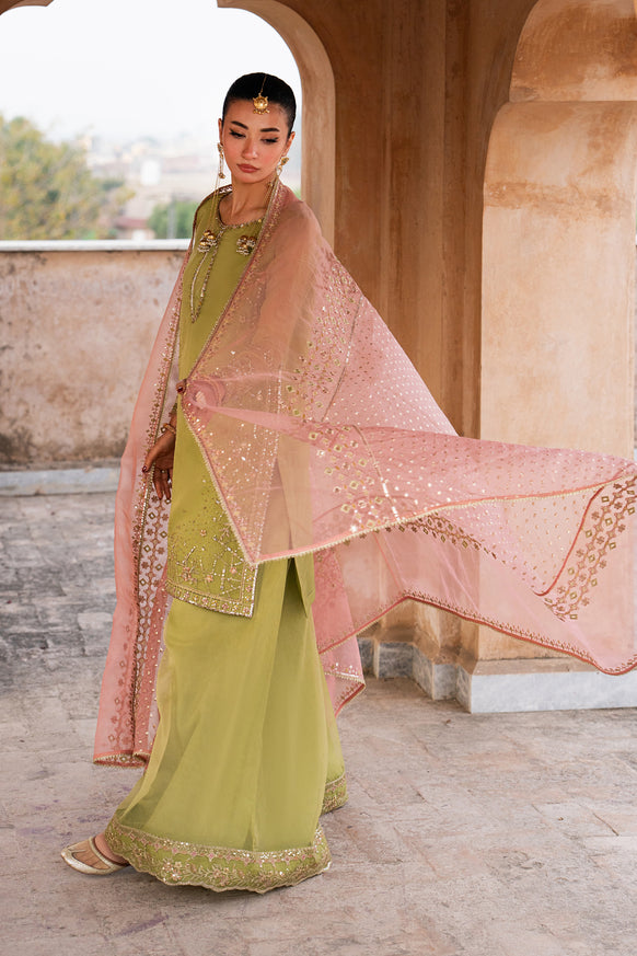 Naqshi | Tabeer Festive Dresses | Zaraan - Formal Dress - available at Maria Faisal in UK and USA.