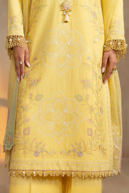 Naqshi | Festive Eid 26 | Sheiza - Luxury Dress - available at Maria Faisal in UK and USA.