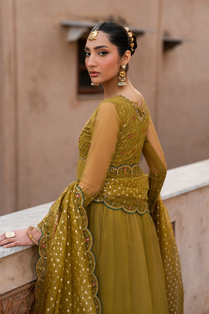 Naqshi | Tabeer Festive Dresses | Lehr - Formal Dress - available at Maria Faisal in UK and USA.