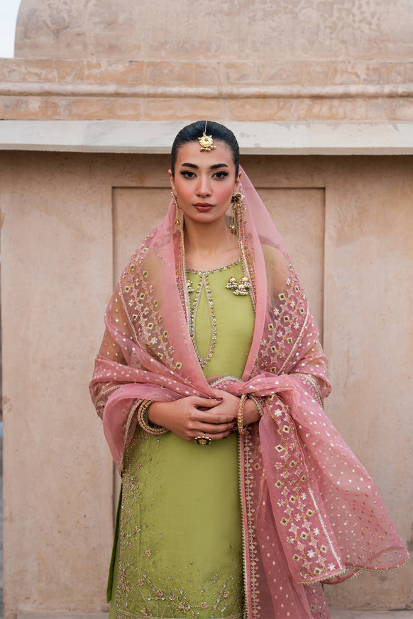 Naqshi | Tabeer Festive Dresses | Zaraan - Formal Dress - available at Maria Faisal in UK and USA.