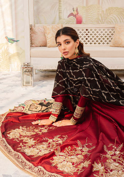 Zarqash | Rubaai Wedding Festive 23 | Zane