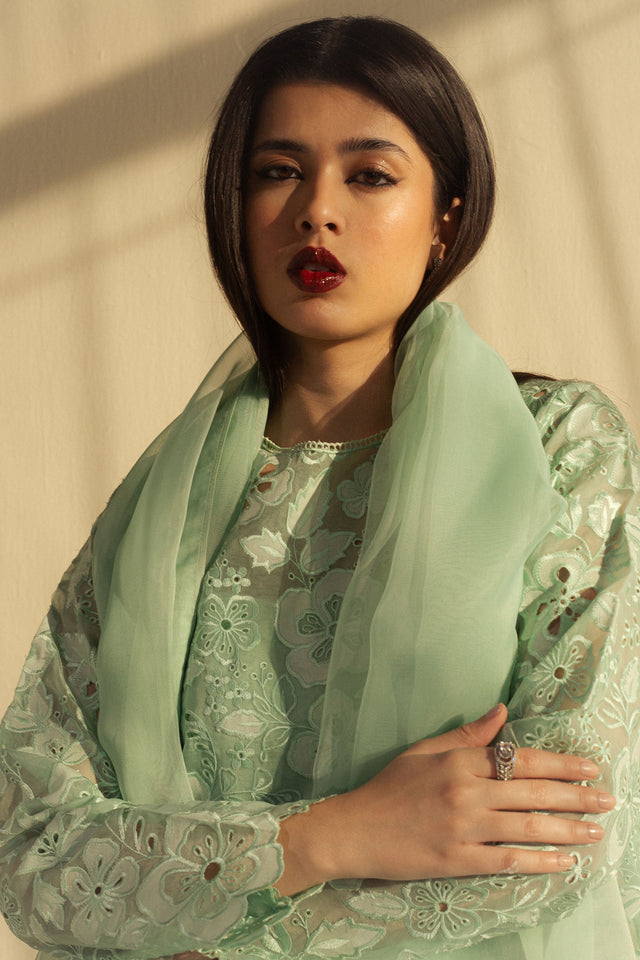 Zara Shahjahan | Festive 26 | ZC-2072 - Luxury Dress - available at Maria Faisal in UK and USA.