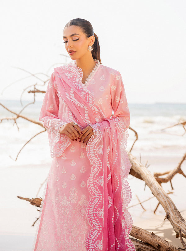 Zainab chottani | Luxury Chikankari 24 | AMYRA - 8B