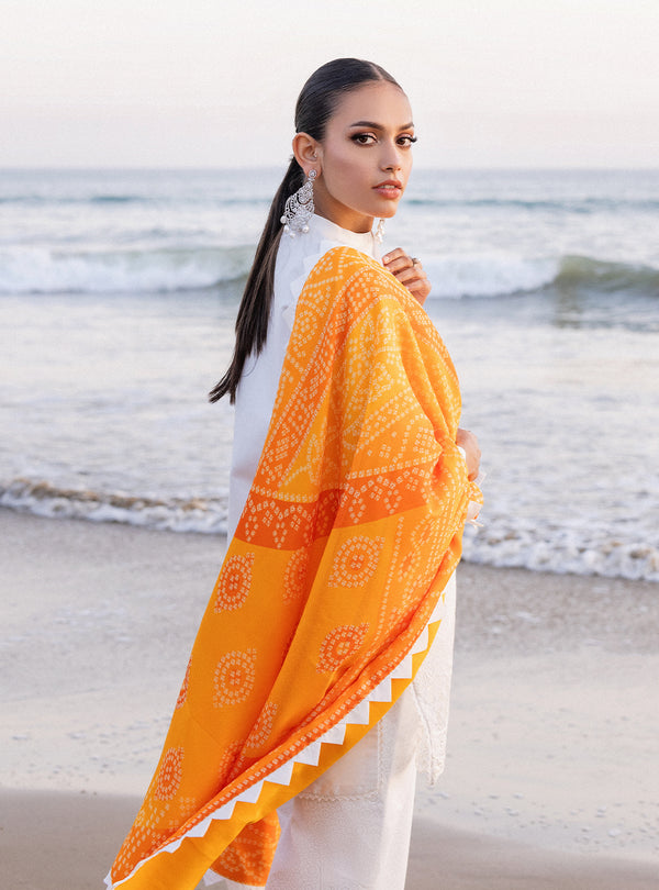 Zainab chottani | Luxury Chikankari 24 | CHUNARI - 3B - Ladies Clothes - Maria Faisal