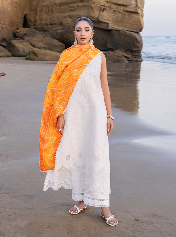 Zainab chottani | Luxury Chikankari 24 | CHUNARI - 3B - Ladies Clothes - Maria Faisal