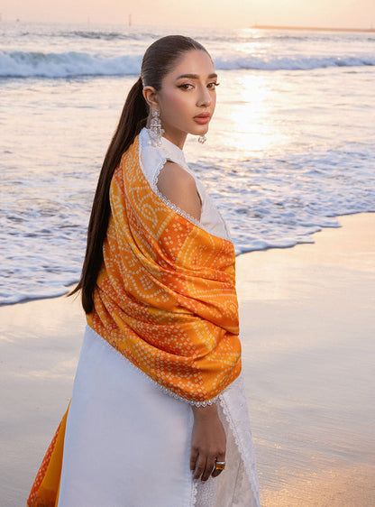 Zainab chottani | Luxury Chikankari 24 | CHUNARI - 3B - Ladies Clothes - Maria Faisal