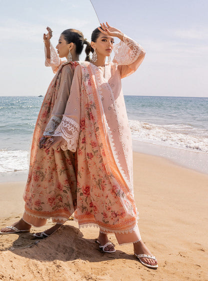 Zainab chottani | Luxury Chikankari 24 | NORA - 2A - Ladies Clothes - Maria Faisal