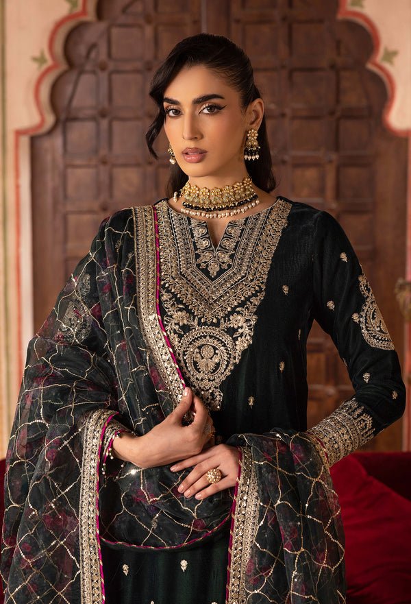 Adans Libas | Velvet 25 | 7527 V - is Black dress from Adans Libas - Ladies Clothes - Maria Faisal