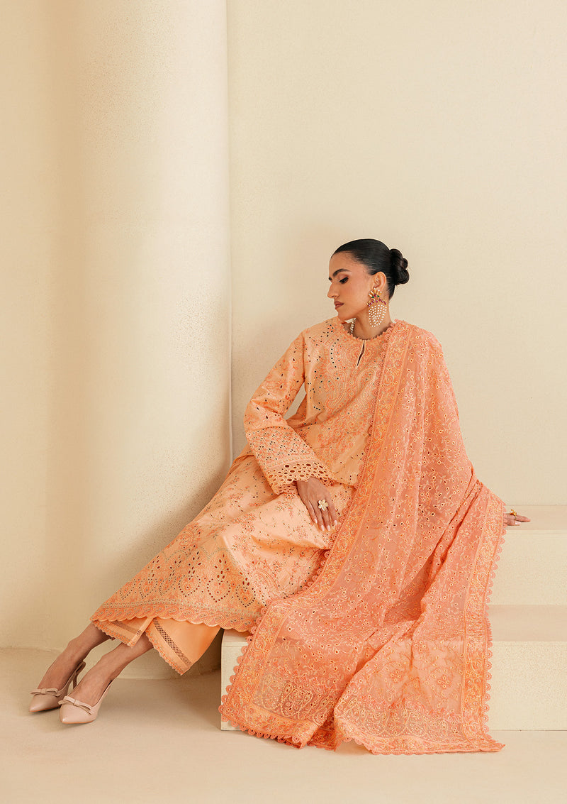 Aik Atelier | Lawn 26 | Look B2602B - Luxury Dress - available at Maria Faisal in UK and USA.
