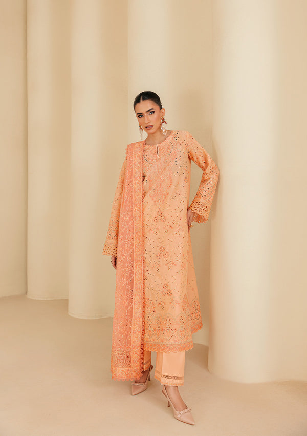 Aik Atelier | Lawn 26 | Look B2602B - Luxury Dress - available at Maria Faisal in UK and USA.