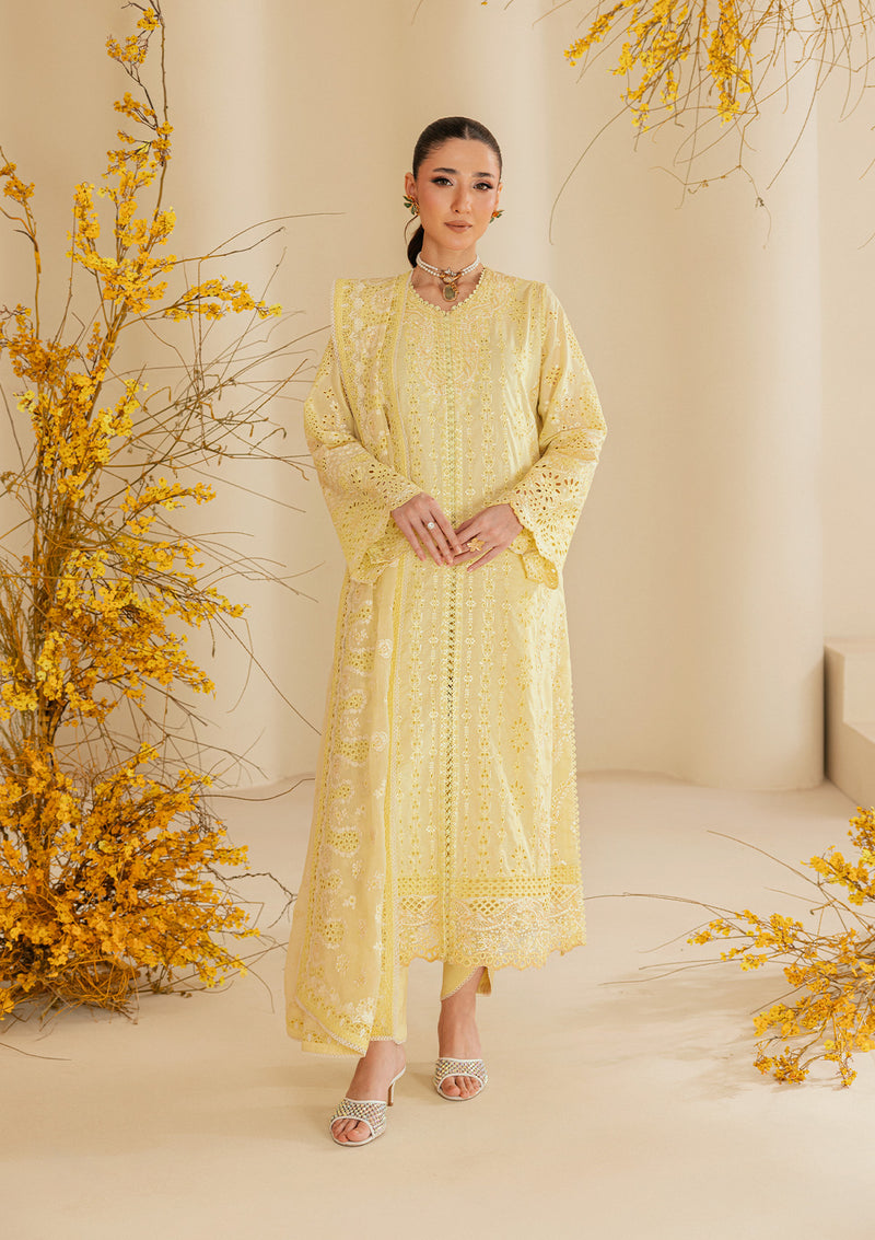 Aik Atelier | Lawn 26 | Look B2604A - Luxury Dress - available at Maria Faisal in UK and USA.
