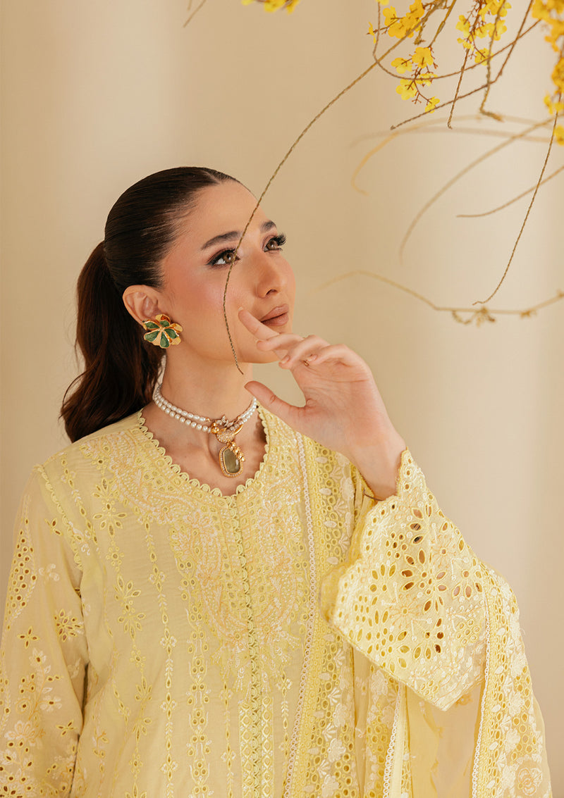 Aik Atelier | Lawn 26 | Look B2604A - Luxury Dress - available at Maria Faisal in UK and USA.