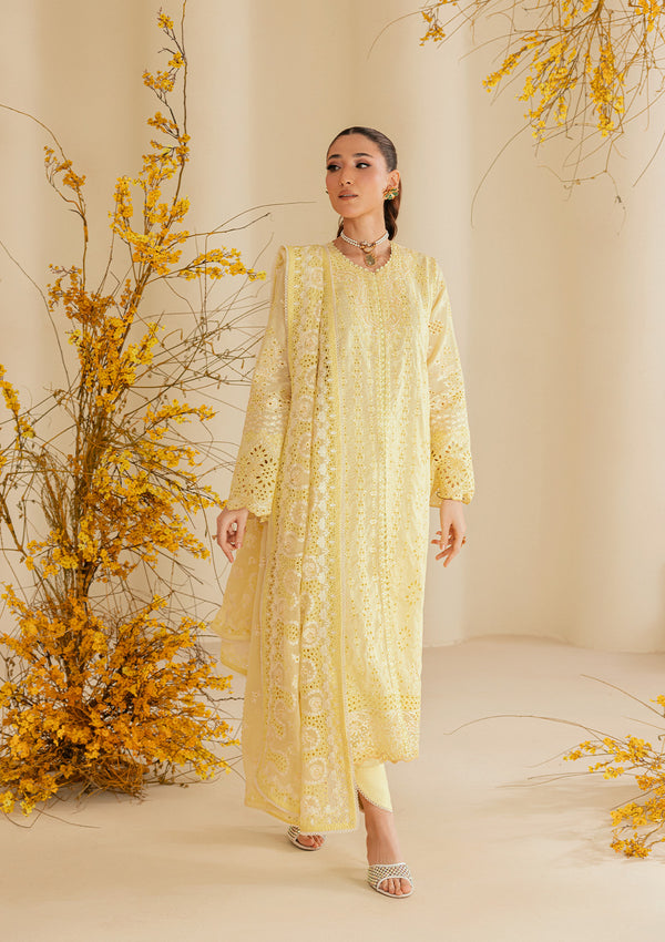 Aik Atelier | Lawn 26 | Look B2604A - Luxury Dress - available at Maria Faisal in UK and USA.
