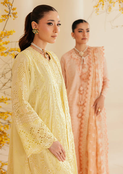 Aik Atelier | Lawn 26 | Look B2604A - Luxury Dress - available at Maria Faisal in UK and USA.