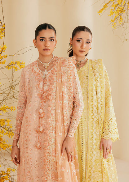 Aik Atelier | Lawn 26 | Look B2604B - Luxury Dress - available at Maria Faisal in UK and USA.