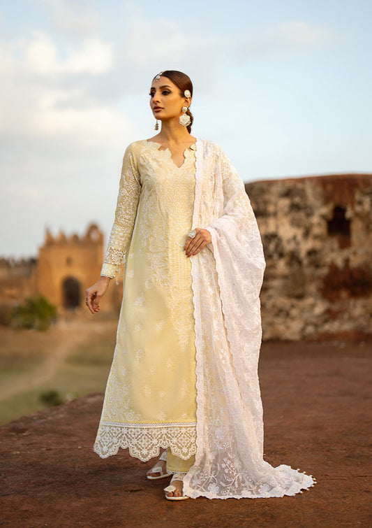 Aik Atelier | Pardes Lawn 24 | LOOK 06 - Designer Dress - Maria Faisal