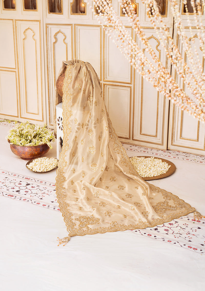 Aik Atelier | LIGHT GOLD TISSUE SHAWL - Designer Dress with Intricate embroidery and embellishments. Shop elegent wedding dress at Maria Faisal.