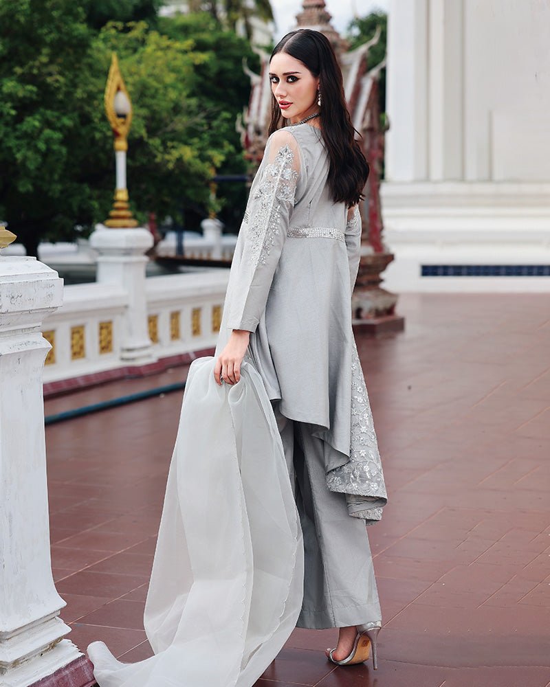 Ain | Prestige Festive Edit | AN - 146 C AN - 146 C - is Gray dress from Ain - Ladies Clothes - Maria Faisal