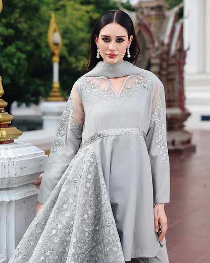 Ain | Prestige Festive Edit | AN - 146 C AN - 146 C - is Gray dress from Ain - Ladies Clothes - Maria Faisal