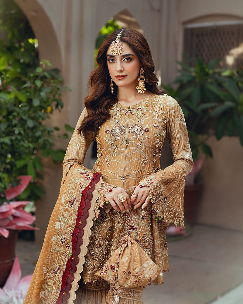 Ain | Naulakha Wedding Festive 24 |   AR-143 KESAR - Ladies Clothes 