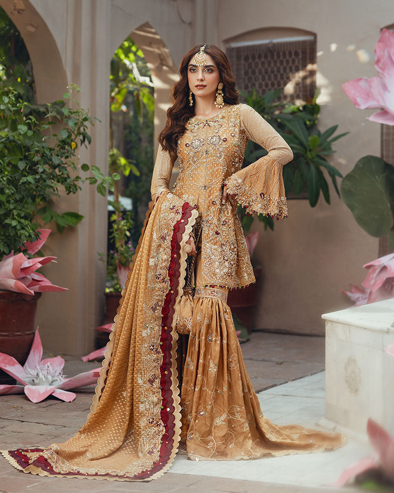 Ain | Naulakha Wedding Festive 24 |   AR-143 KESAR - Ladies Clothes 