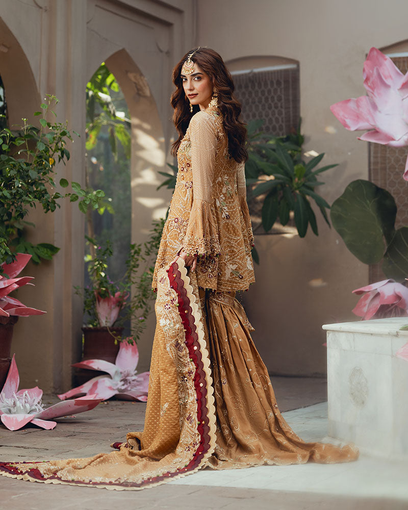 Ain | Naulakha Wedding Festive 24 |   AR-143 KESAR - Ladies Clothes 
