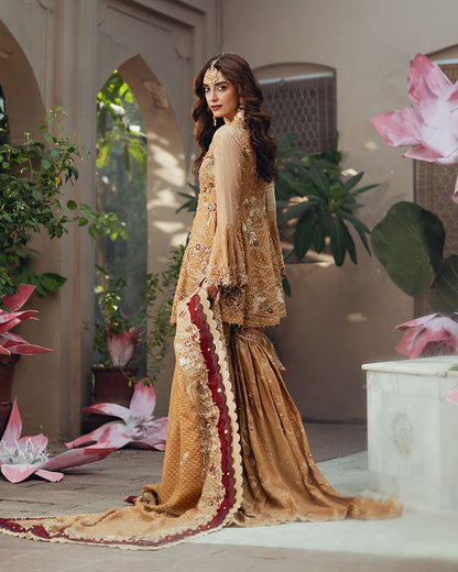 Ain | Naulakha Wedding Festive 24 |   AR-143 KESAR - Ladies Clothes 
