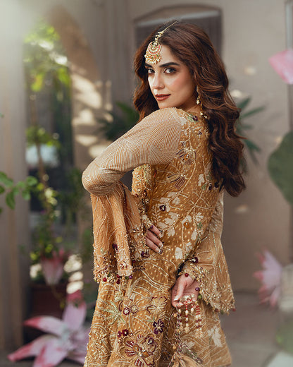 Ain | Naulakha Wedding Festive 24 |   AR-143 KESAR - Ladies Clothes 